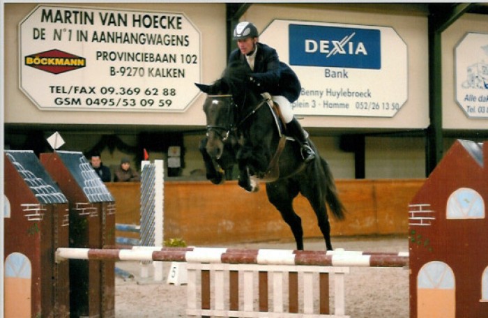 2 zonen van Querlybet Hero gaan door naar laatste fase AES-hengstenkeuring