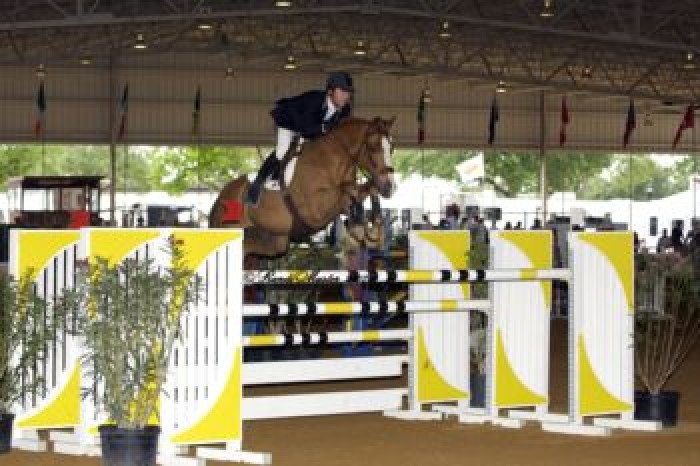 2nd day CSI 3* Tampa (USA)