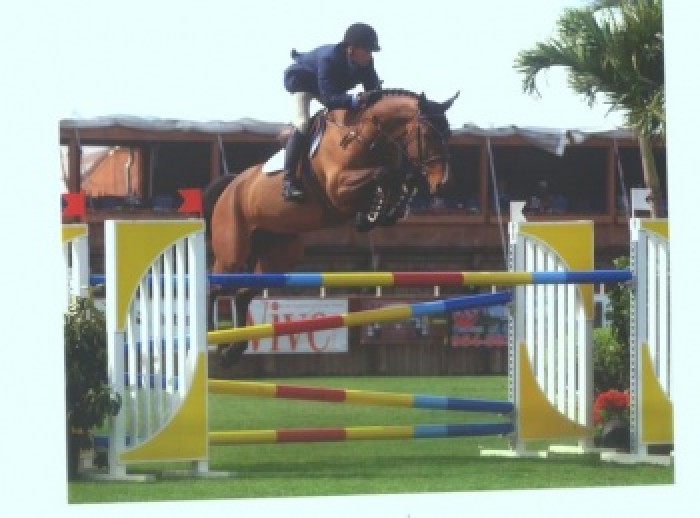 Fokproducten van Stal de Muze present op Internationale Jumping Zandhoven