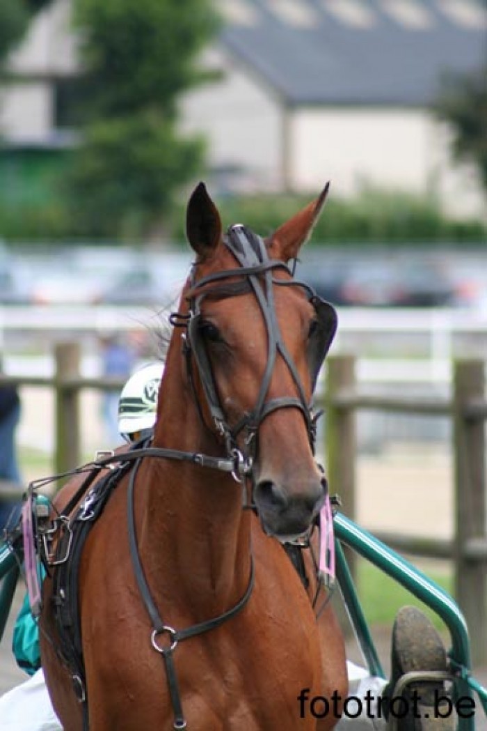 COURSE MONS - QUALIFICATION POUR
