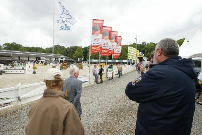 2nd day Belgian Championships Young Horses Gesves
