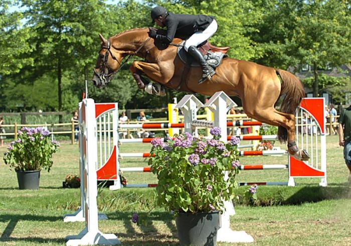 CSIO***** GIJON 29/8- 2/9/2007