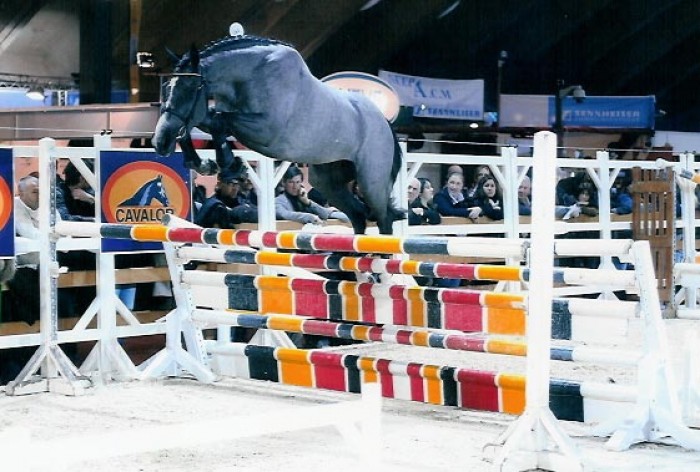 CSI***** MECHELEN (26-30/12/2007)