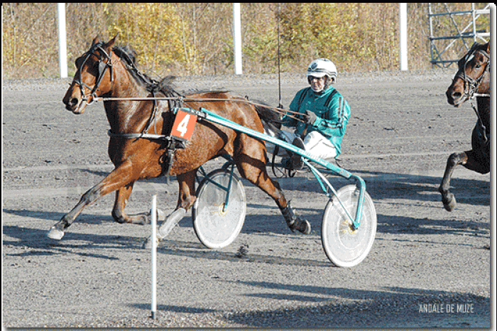 Course Le Croisé-Laroche (22/9/2008)