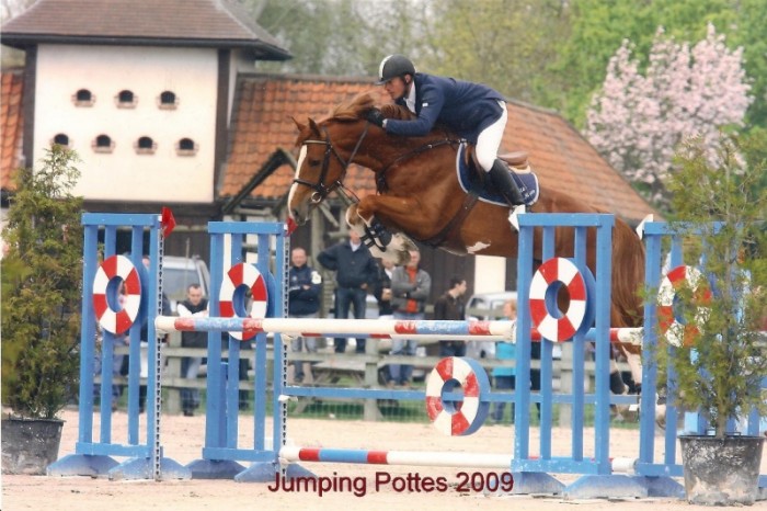 Cyclus jonge paarden Aalter (23/5/2009)