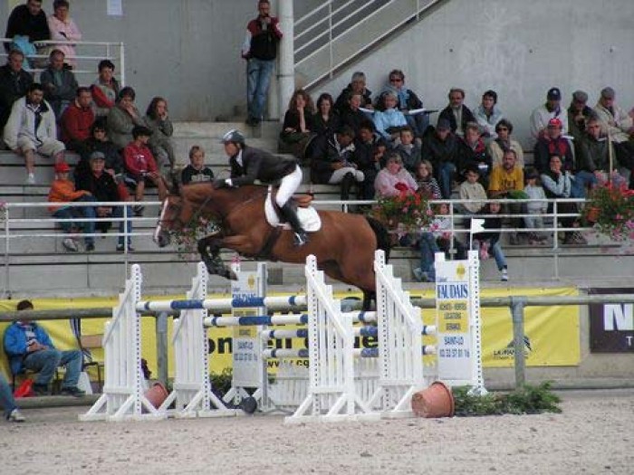 JONGE PAARDEN ST LO (FRANKRIJK) (12-13/8/2009)