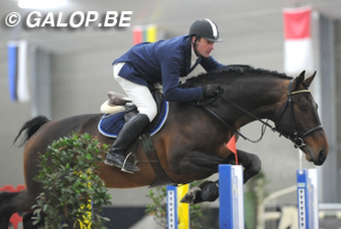 HENGSTENCOMPETITIE HULSTERLO (30/1/2010)