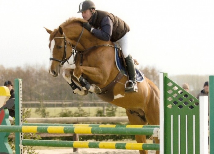 Video's paarden Stal de Muze
