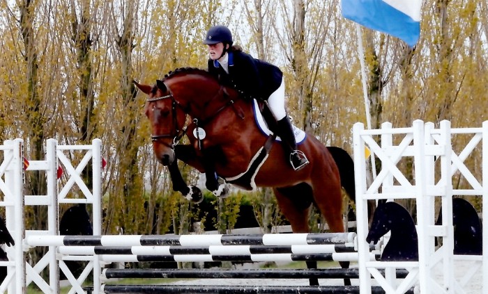 Cyclus Jonge Paarden Gesves