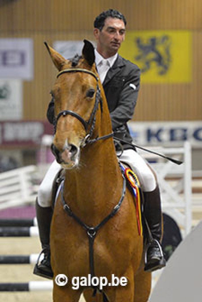 PAVO HENGSTENCOMPETITIE MOORSELE