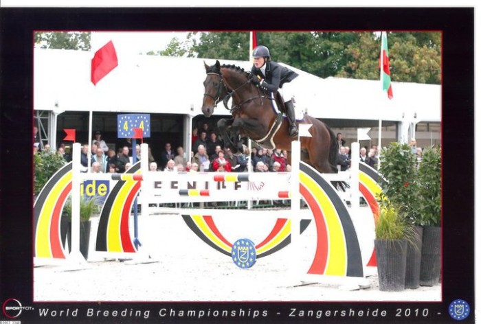CSI 2* MARCQ EN BAROEUL