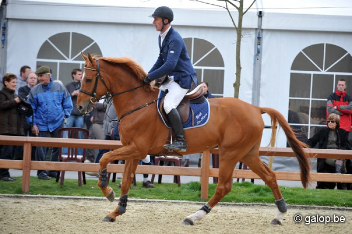 Figo de Muze verhuist naar Shane Breen en krijgt nieuwe naam