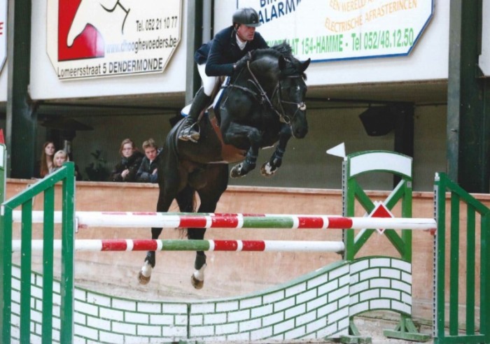 HENGSTENCOMPETITIE GESVES