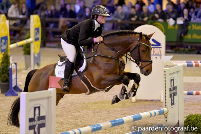 PAVO HENGSTENCOMPETITIE WEN LIER