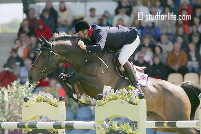 Topspringpaard Marius Claudius overleden