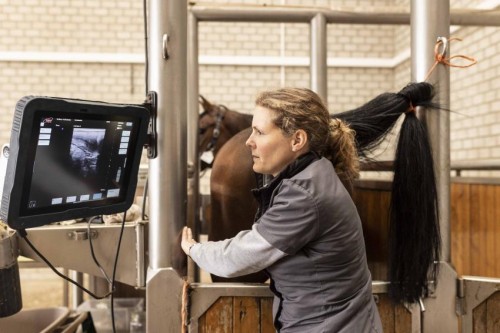 Diensten - Inseminatie centrum