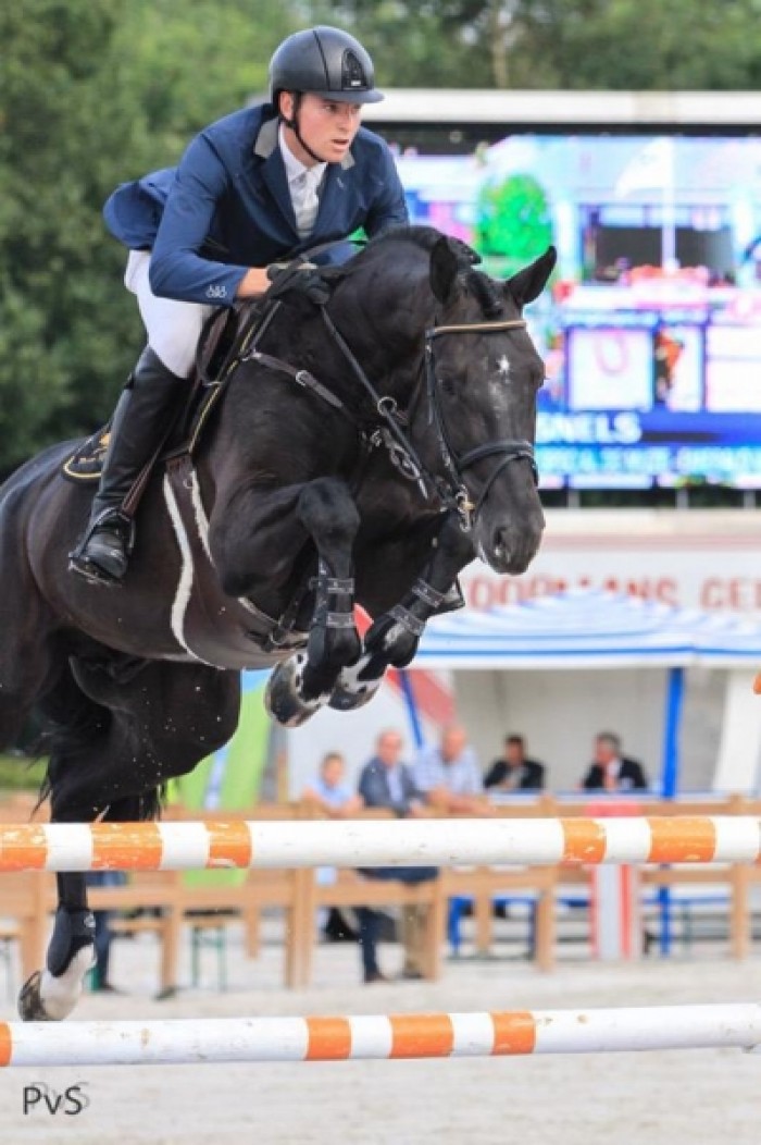 Six-year-old son of I’m Special de Muze Belgian champion