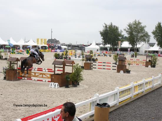 Championnat de Belgique des jeunes chevaux à Gesves