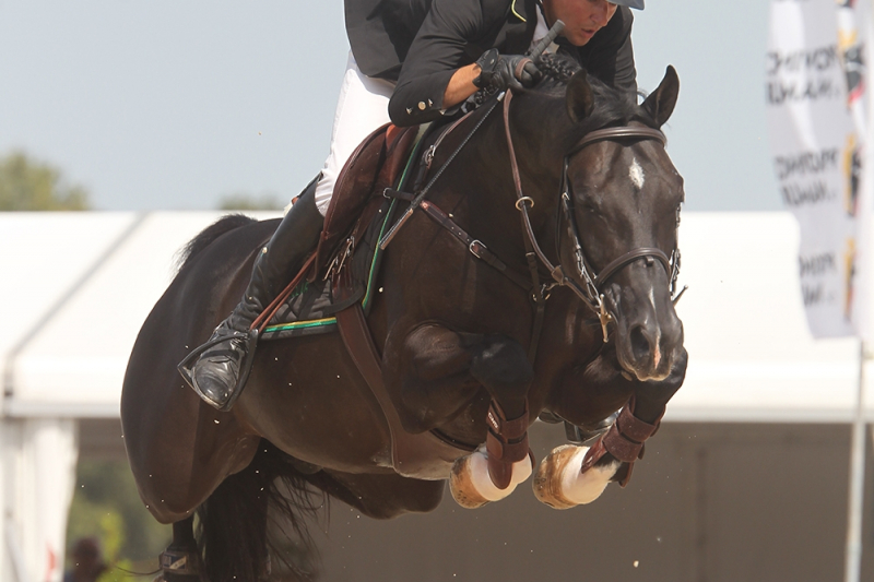 Great results at the Belgian Championships