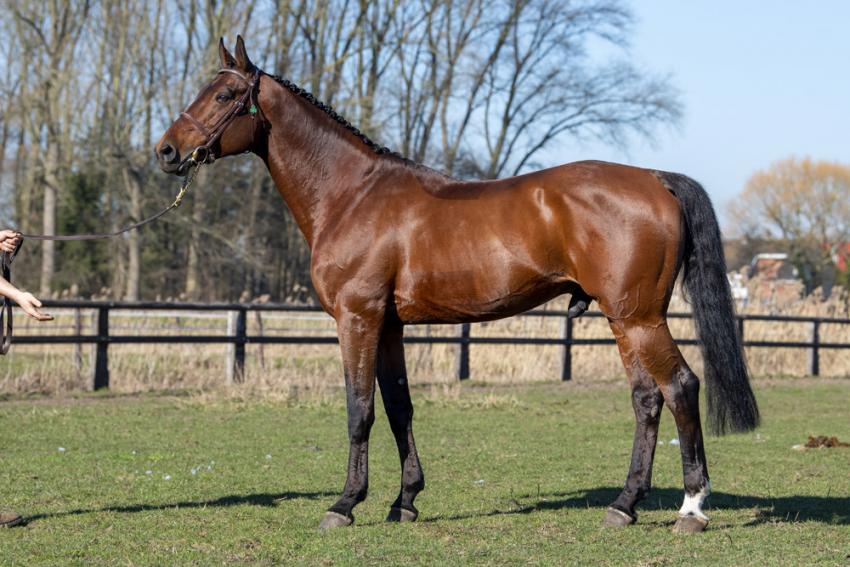 Kasanova daughter second in GP3*